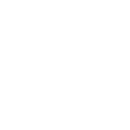 althlit-footer-logo
